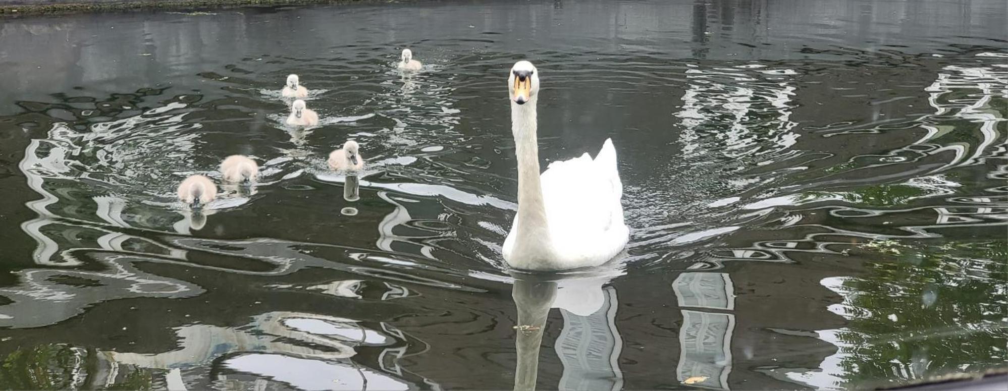 Comfy Canal Boat In Little Venice For Family & Friends Hotel ลอนดอน ภายนอก รูปภาพ